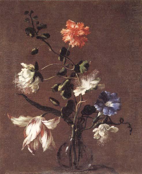 Mario Dei Fiori Theee Caper Flower,a Carnation,a Bindweed,and a Tulip china oil painting image